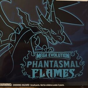 Pokemon Mega Evolution Phantasmal Flames Art - Black and Blue